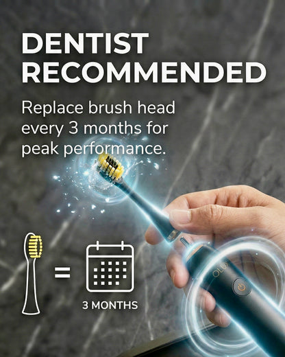 Oraluxe Replacement Head